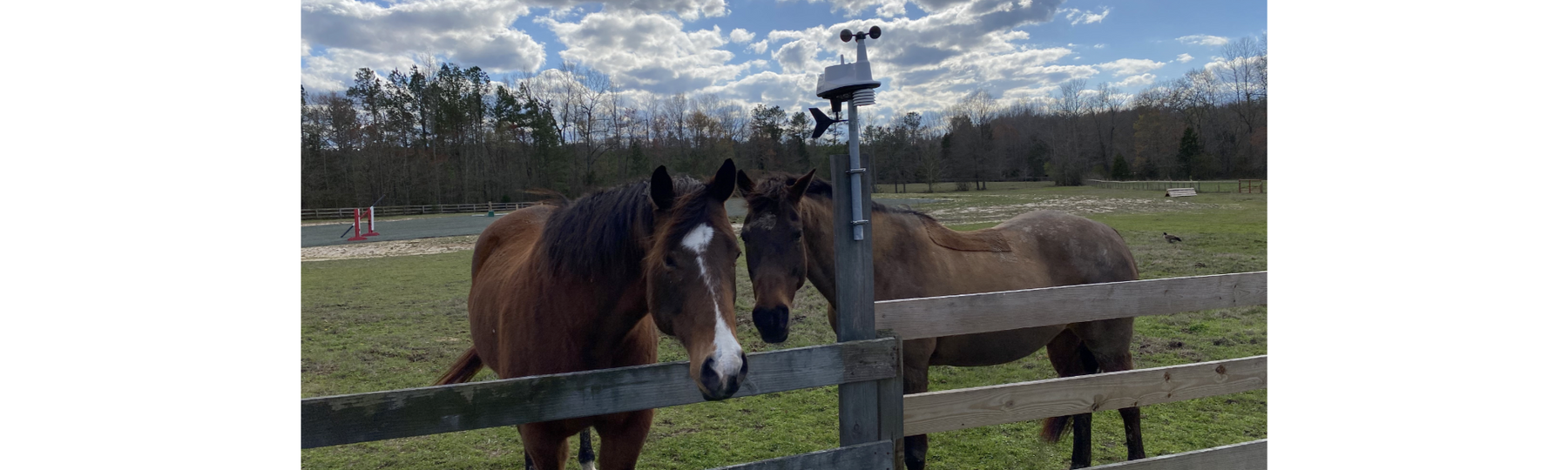 How Painted Sky Ranch Cares for Horses Using Vantage Vue & WeatherLink Console