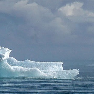 Climate vs Weather: What's the Difference?