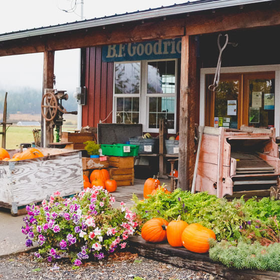 Front Porch Farm: Small or Large, There’s a Davis System for Every Farm