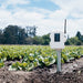 leaf and soil moisture temperature station