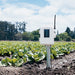 leaf and soil moisture temperature station